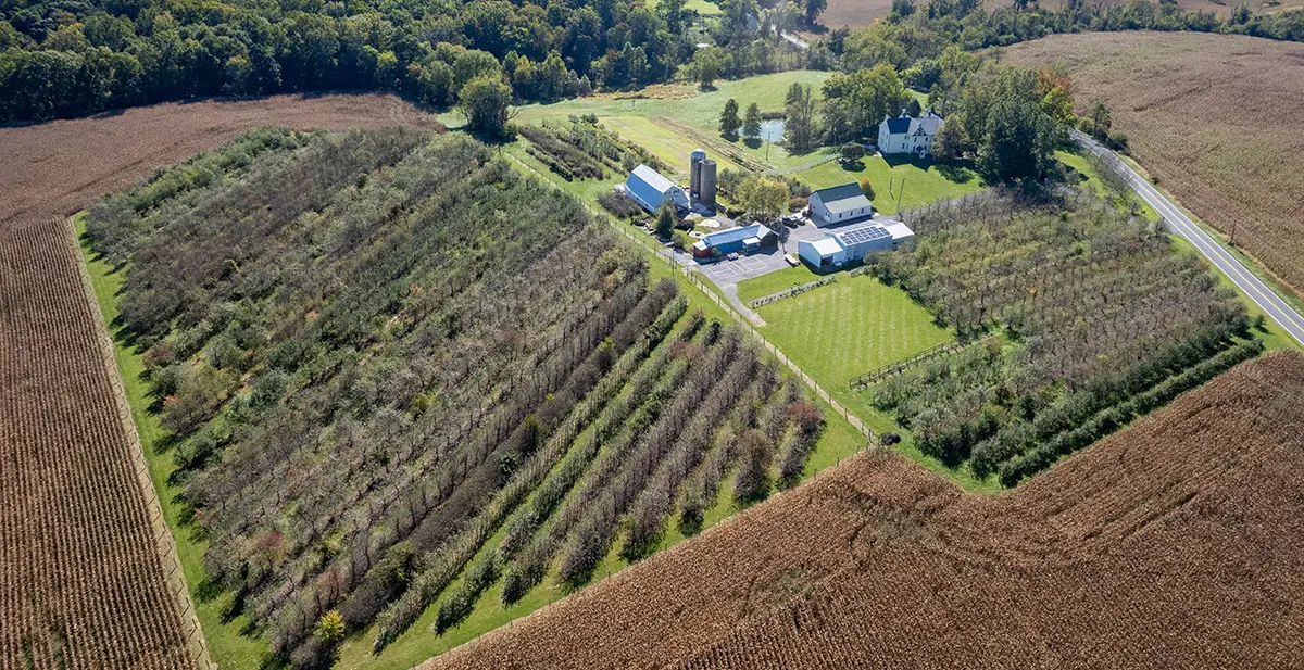 Large Agricultural Land Parcel Near Major Highway