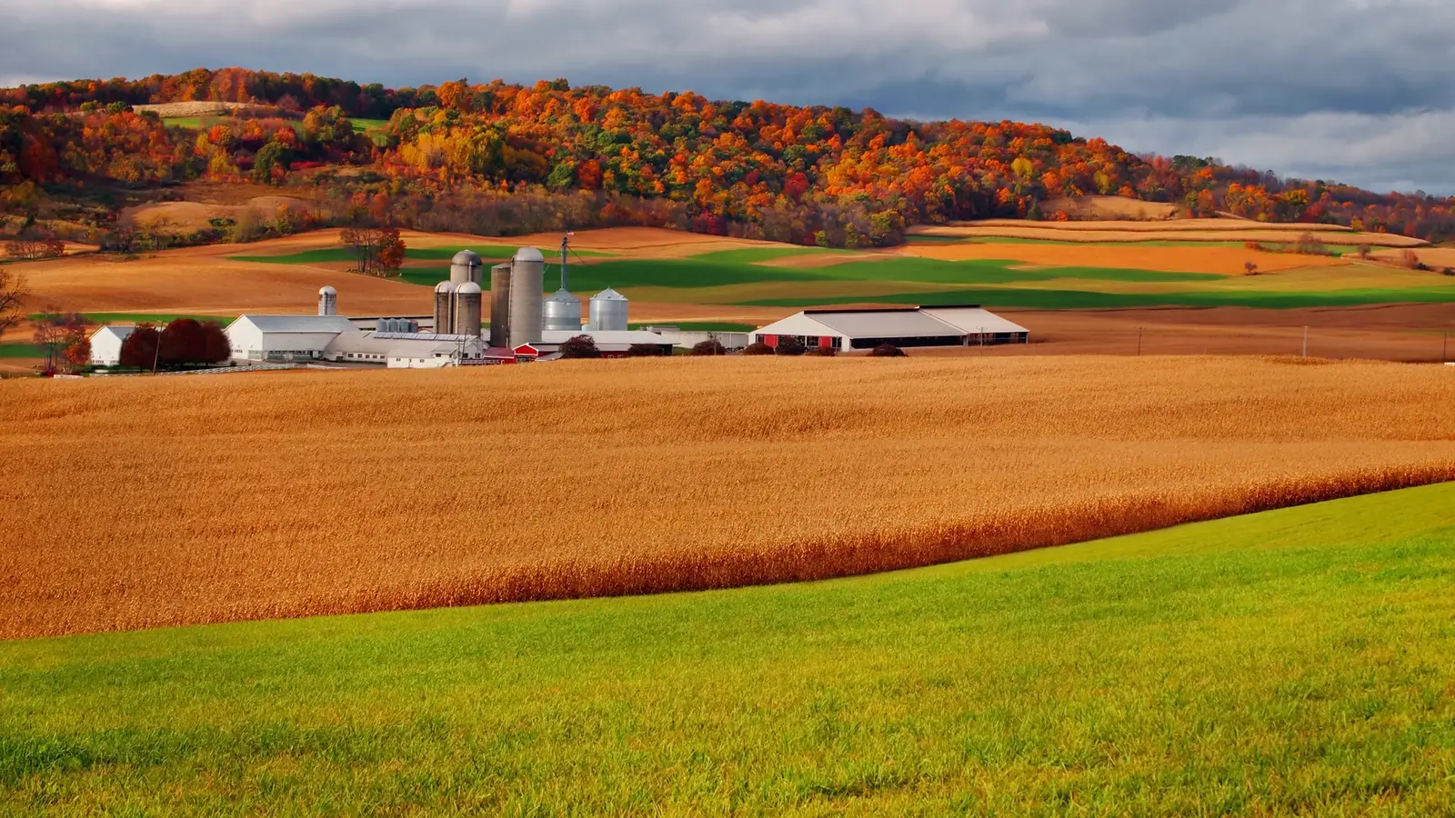 Agricultural Land Appropriate for Residential and Commercial Use