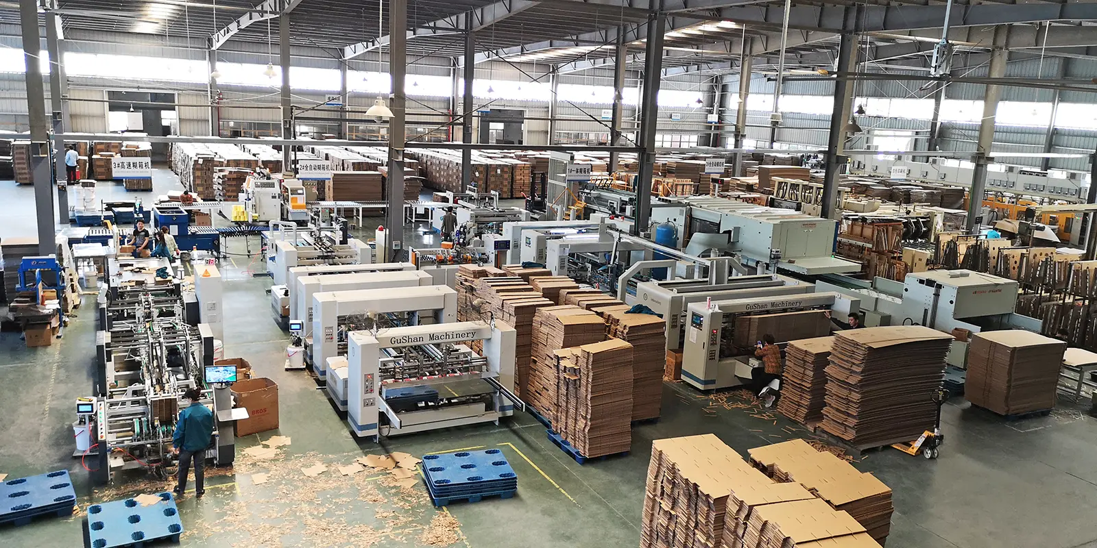 Eco-Friendly Packaging Factory with Sustainable Practices