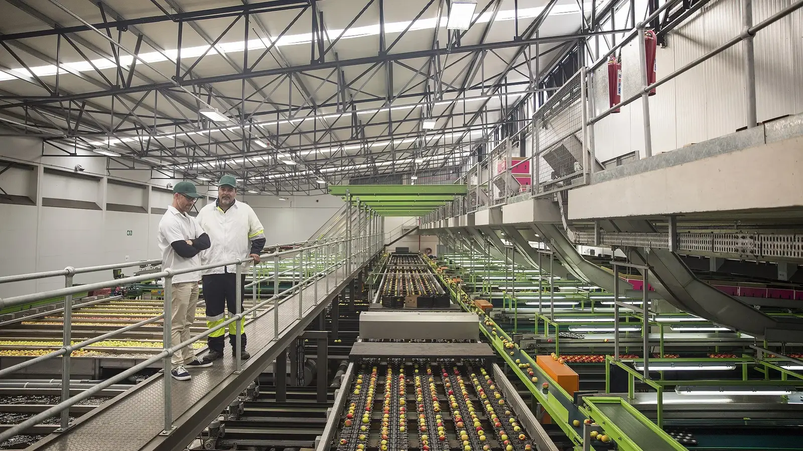 مصنع معالجة غذائية فعال مزود بمركز توزيع