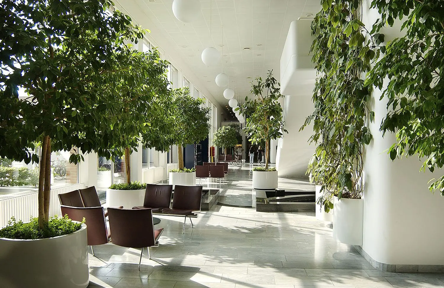 Advanced Medical Center with Comprehensive Services