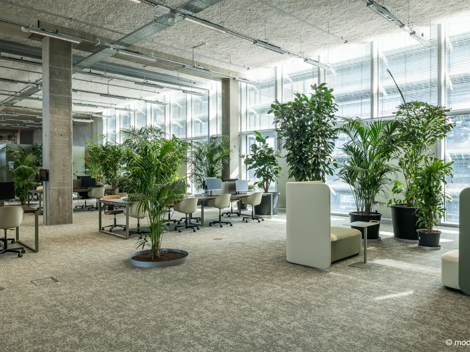 Modern Government Office Building with Green Design